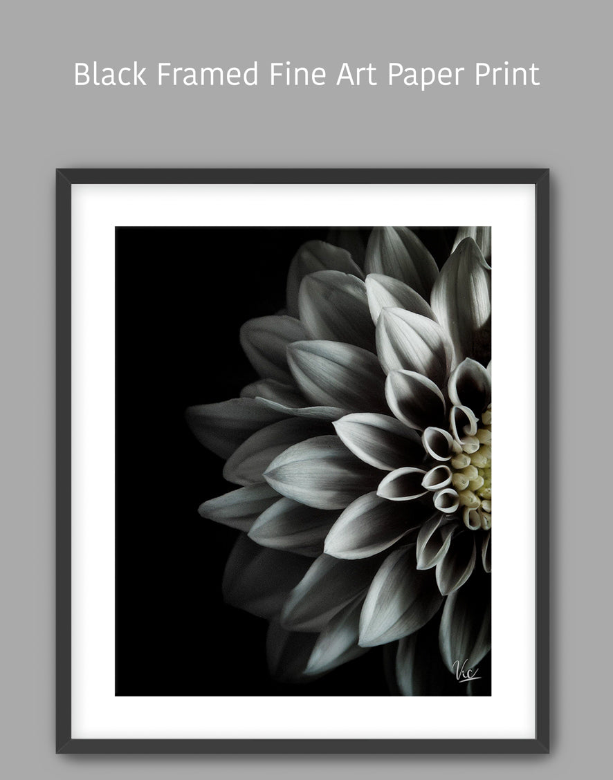 Black and White Half Flower Contemporary Modern Painting