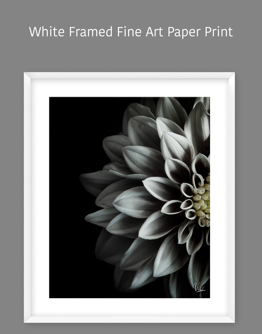 Black and White Half Flower Contemporary Modern Painting