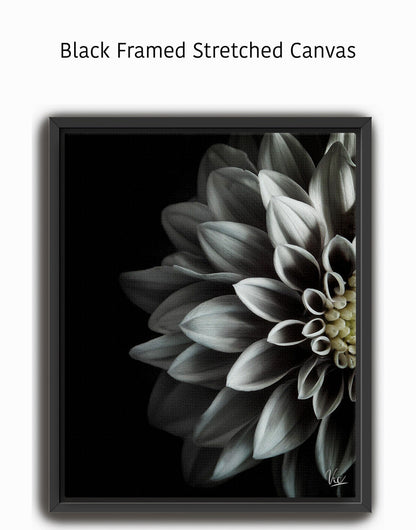 Black and White Half Flower Contemporary Modern Painting