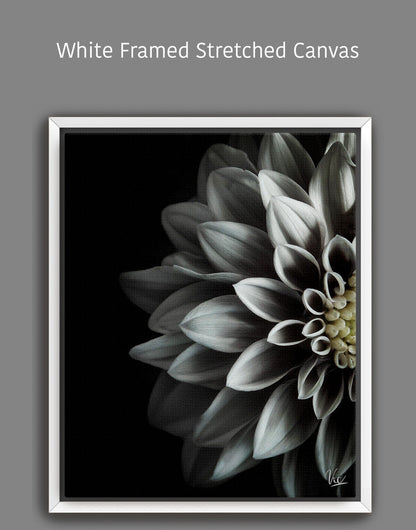 Black and White Half Flower Contemporary Modern Painting