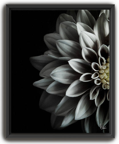 Black and White Half Flower Contemporary Modern Painting