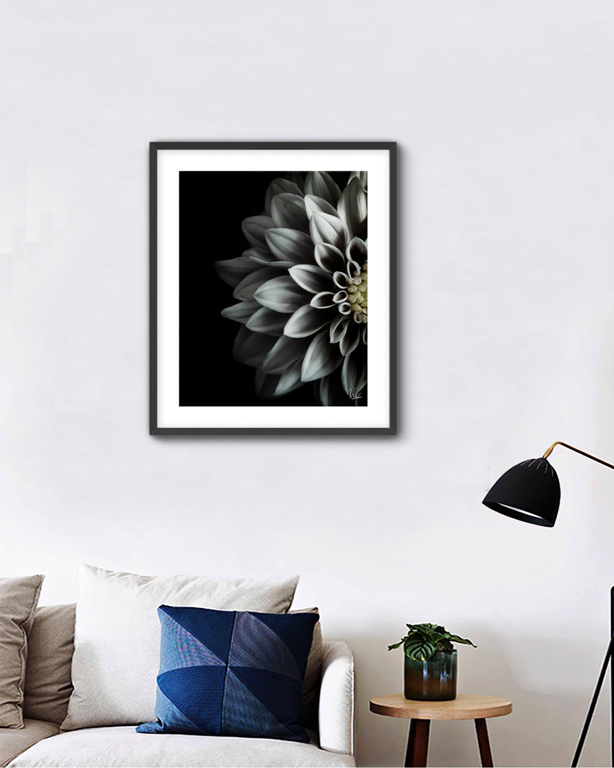 Black and White Half Flower Contemporary Modern Painting